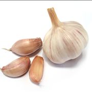 Picture Of Garlic And Vampires